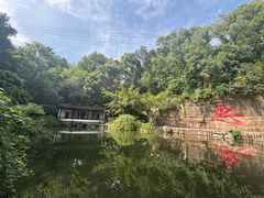 -忠山公园