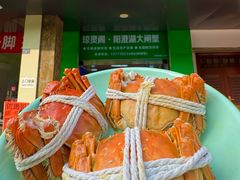 -阳澄湖大闸蟹·琼灵阁牌品牌连锁(吴中总店)