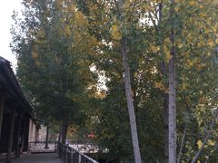 -古柏渡飞黄旅游区