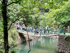 -大奇山国家森林公园