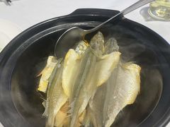 -春满园·早茶·粤菜·宴会(前海店)