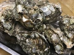 -蚝得喜海鲜(东城店)
