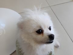 -怪兽屋·羊驼·猫咖·狗咖(俊华广场店)