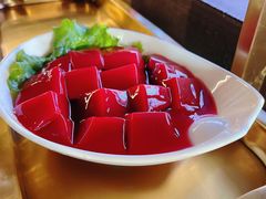 鲜鸭血-晓宇重庆火锅(赛格国际购物中心店)