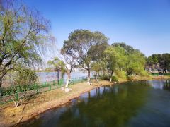 -金银湖国家城市湿地公园