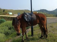 -杭州千岛湖滨江希尔顿度假酒店