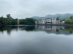 -大屏嶂森林公园