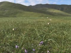 -橡皮山
