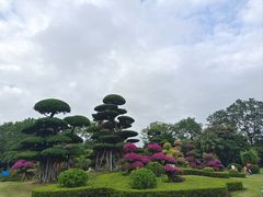 -南宁南湖公园