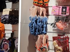 -冰岛阴茎博物馆