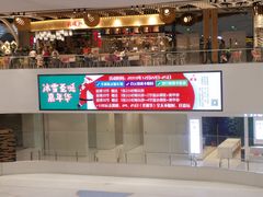 -TheRink大零溜冰场(IFS国金中心店)