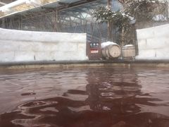 -长白山聚龙火山温泉