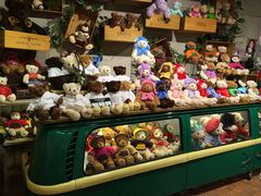 -济州岛泰迪熊博物馆