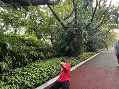 -南宁南湖公园
