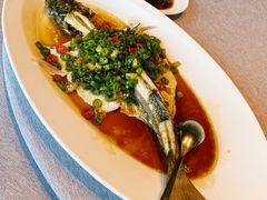 青花椒蒸信鱼-三利音·东方司宴(外滩店)