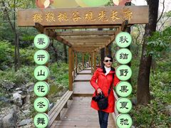 -大岭沟猕猴桃谷风景区