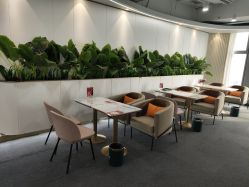 点击看大图 -子午孕教·孕妇瑜伽产后恢复(市北店)