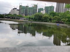 -龙江公园