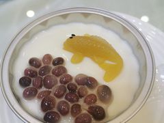 -清新鸡沙田乳鸽店(金融店)