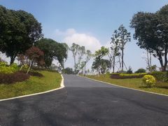 -东莞植物园