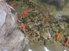 -临沂极地海洋王国