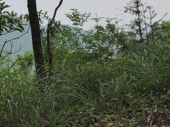 -田心森林公园