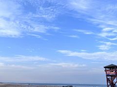 -日照海滨国家森林公园