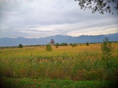 -野鸭湖国家湿地公园