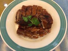 -椿记烧鹅(叠彩店)