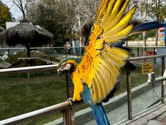 -水上乐园·欢乐世界