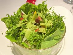 宫廷鲜苗沙拉-王品牛排(郑州大卫城店)