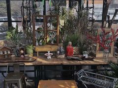 -北马山庄植趣咖啡