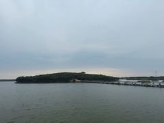 -南大港湿地风景区