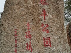 -泰丰公园