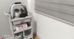 -佰草博士·专业祛痘祛斑培训