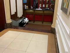 -梅龙镇酒家(南京西路总店)