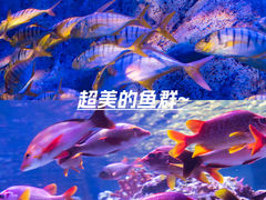 -正佳极地海洋世界
