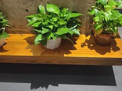 -山茶云南菜(永安里店)
