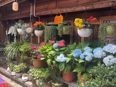 -龙姐私房菜(和顺古镇店)