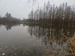 -白鹭湾湿地公园