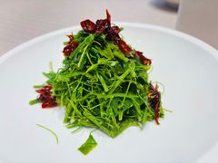 -品悦酒店(三林古镇店)