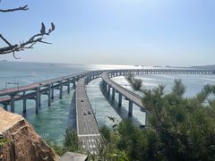 -星海湾跨海大桥