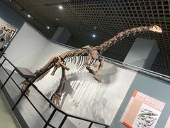-大连自然博物馆·地球展厅