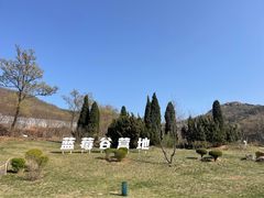 -金石滩蓝莓谷庄园