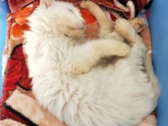 -畜牧兽医站(共江路店)