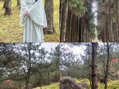 -玉苍山国家森林公园