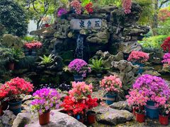 -上海醉白池公园