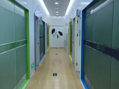 -金色雨林·专注力情商思维感统(海岸城八方汇中心)