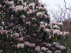 -终南山国家森林公园