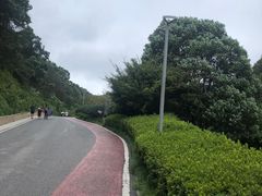 -桃花岭景区